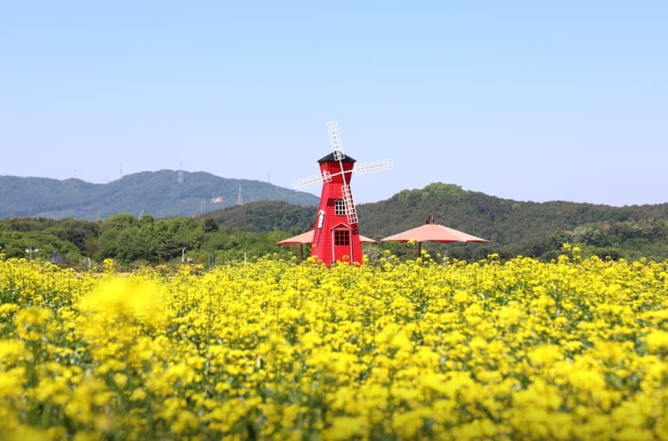 양주나리농원