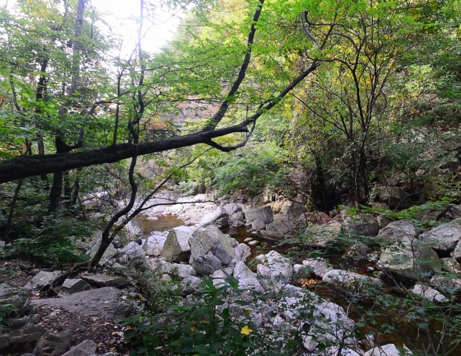 유명계곡